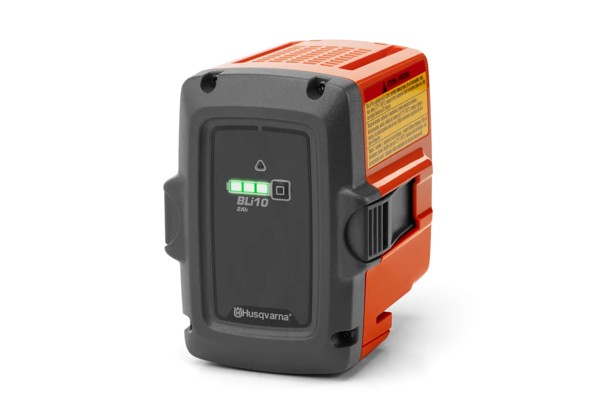 Battery BLi10