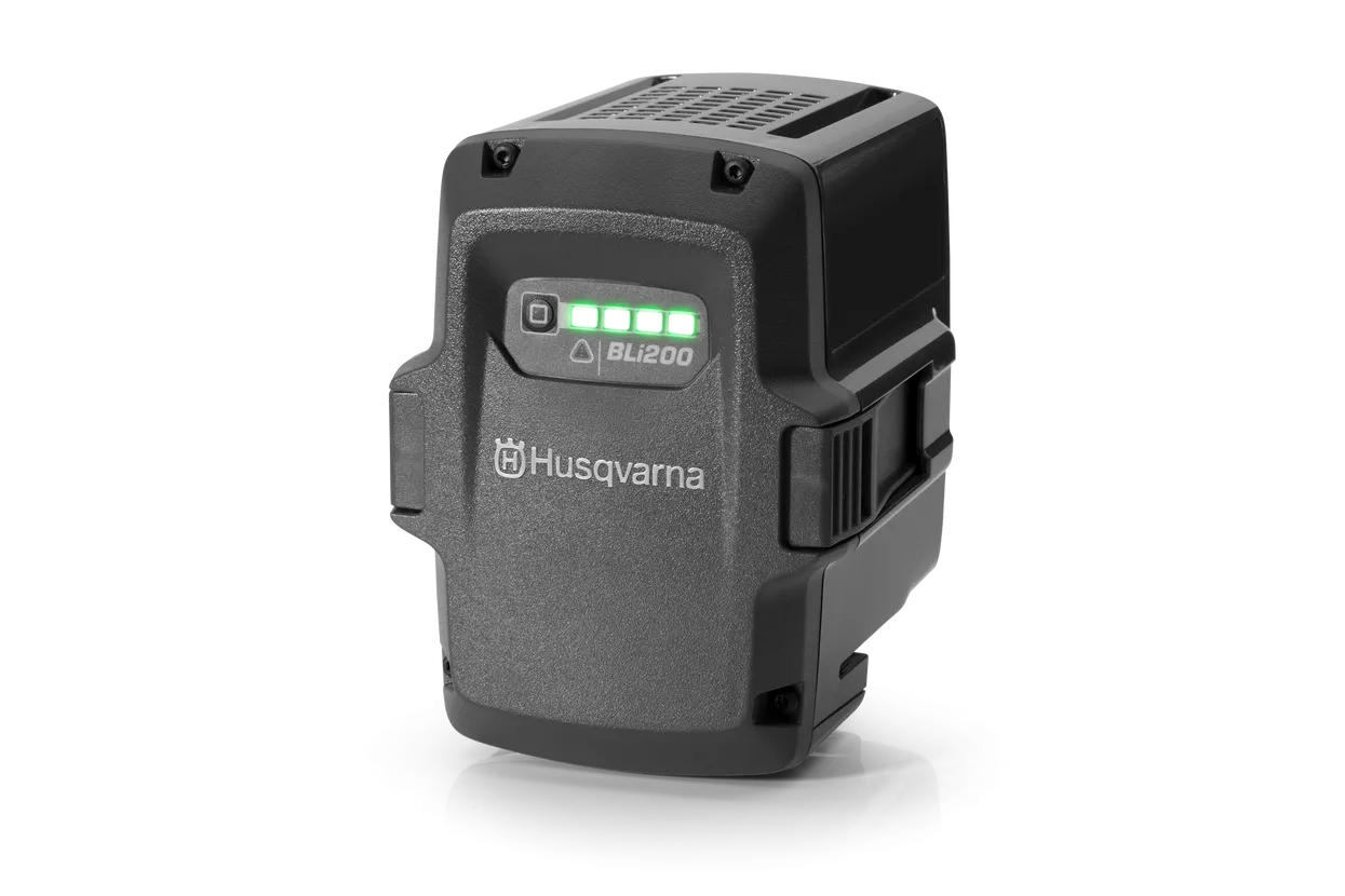 Battery BLi200