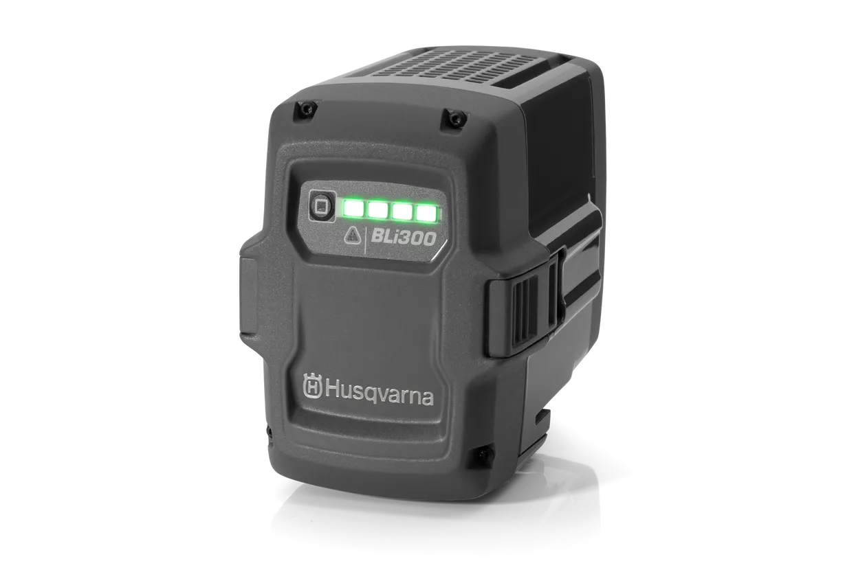 Battery BLi300